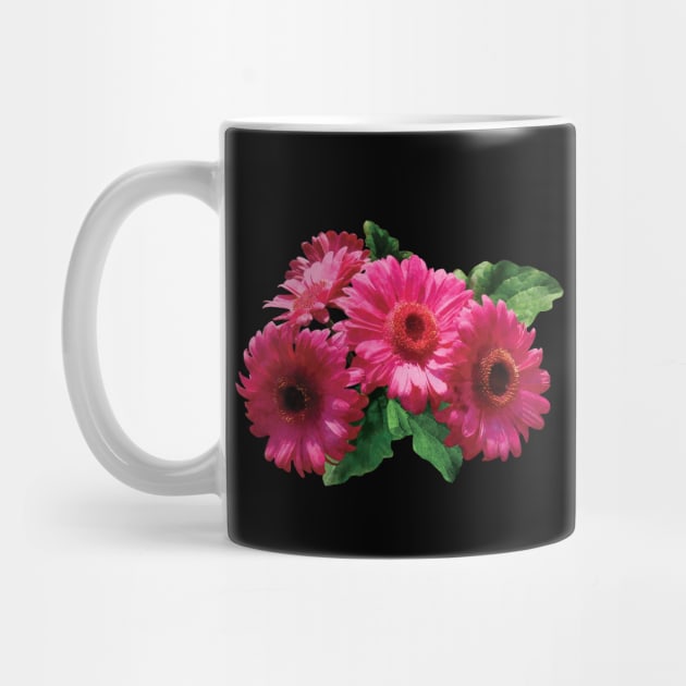 Daisies - Dark Pink Gerbera Daisies by SusanSavad